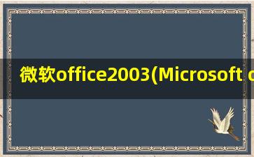 微软office2003(Microsoft office professional Edition 2003是干什么的)